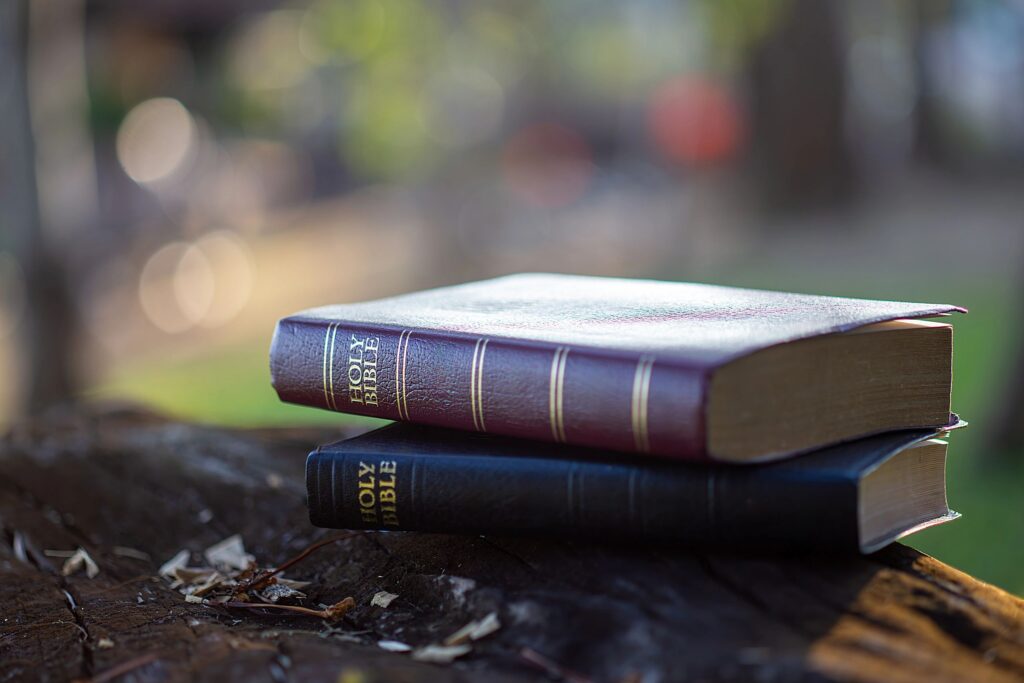 Serene Moment of Prayer and Bible Study in Beautiful Sunlight Hope and Faith Concept: Reading the Holy Bible in Park Close-up of a Christian Girl Holding Bible with Golden Sunlight